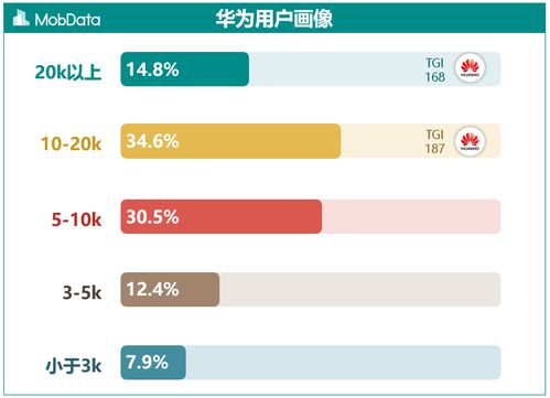 數(shù)據(jù)洞察之華為手機(jī)用戶畫像報(bào)告 酒店管理及信息咨詢服務(wù)的新機(jī)遇